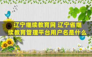 辽宁继续教育网 辽宁省继续教育管理平台用户名是什么